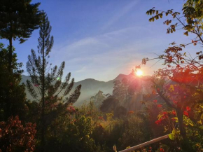 Princess of Dickoya Homestay